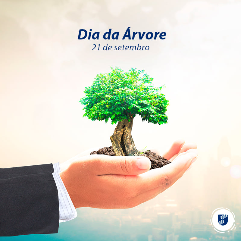 Sustentare realiza ação de distribuição de mudas no Dia da Árvore